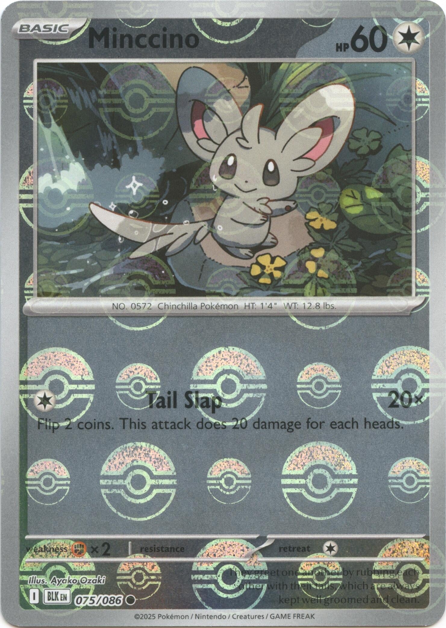 Image for Cinccino (Poke Ball Pattern) (076/086) - Pokemon