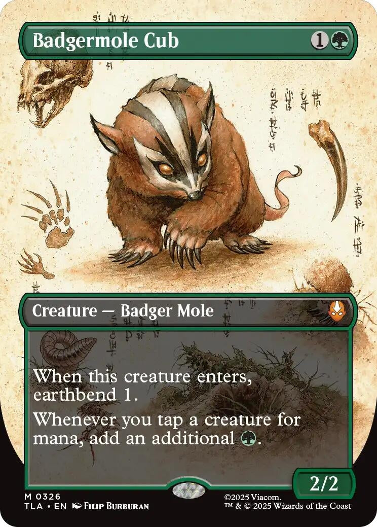 Image for Badgermole Cub (Borderless) (326) - Magic: The Gathering