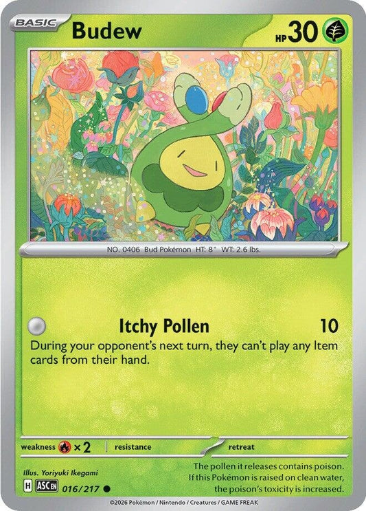 Image for Budew (016/217) - Pokemon