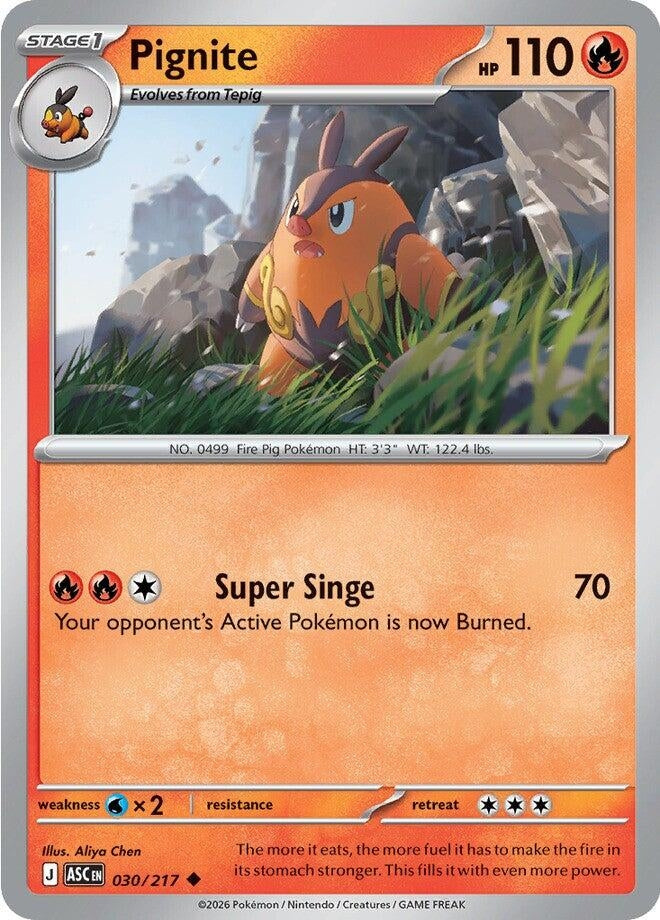 Image for Pignite (030/217) - Pokemon