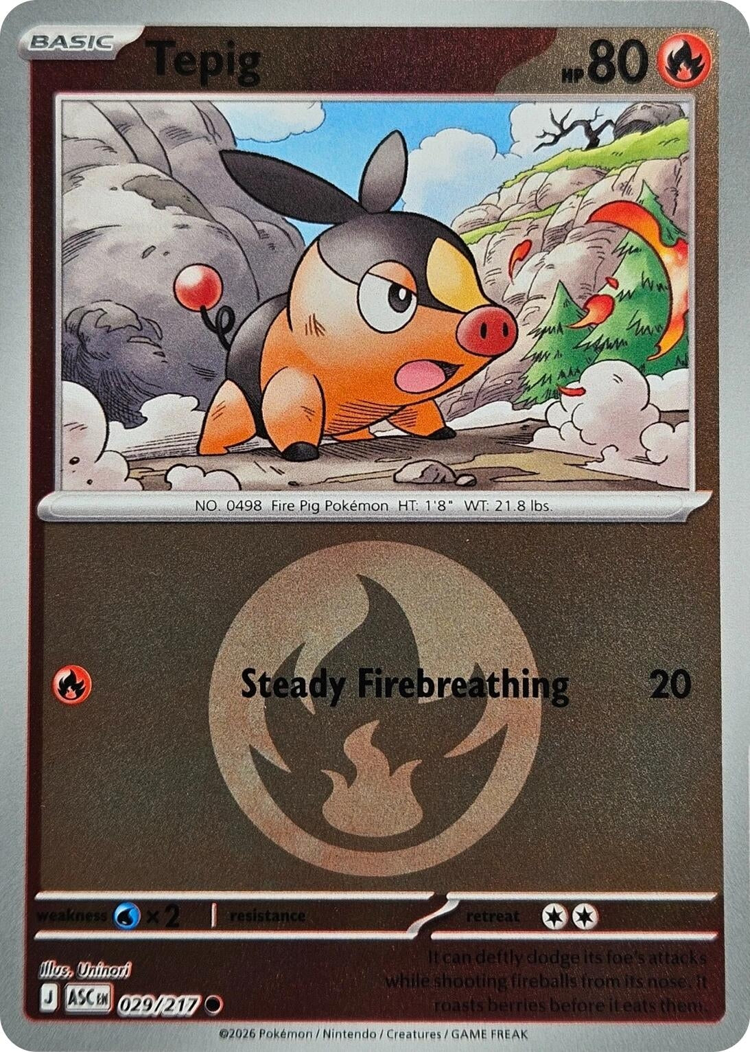 Image for Tepig (Energy Symbol Pattern) (029/217) - Pokemon