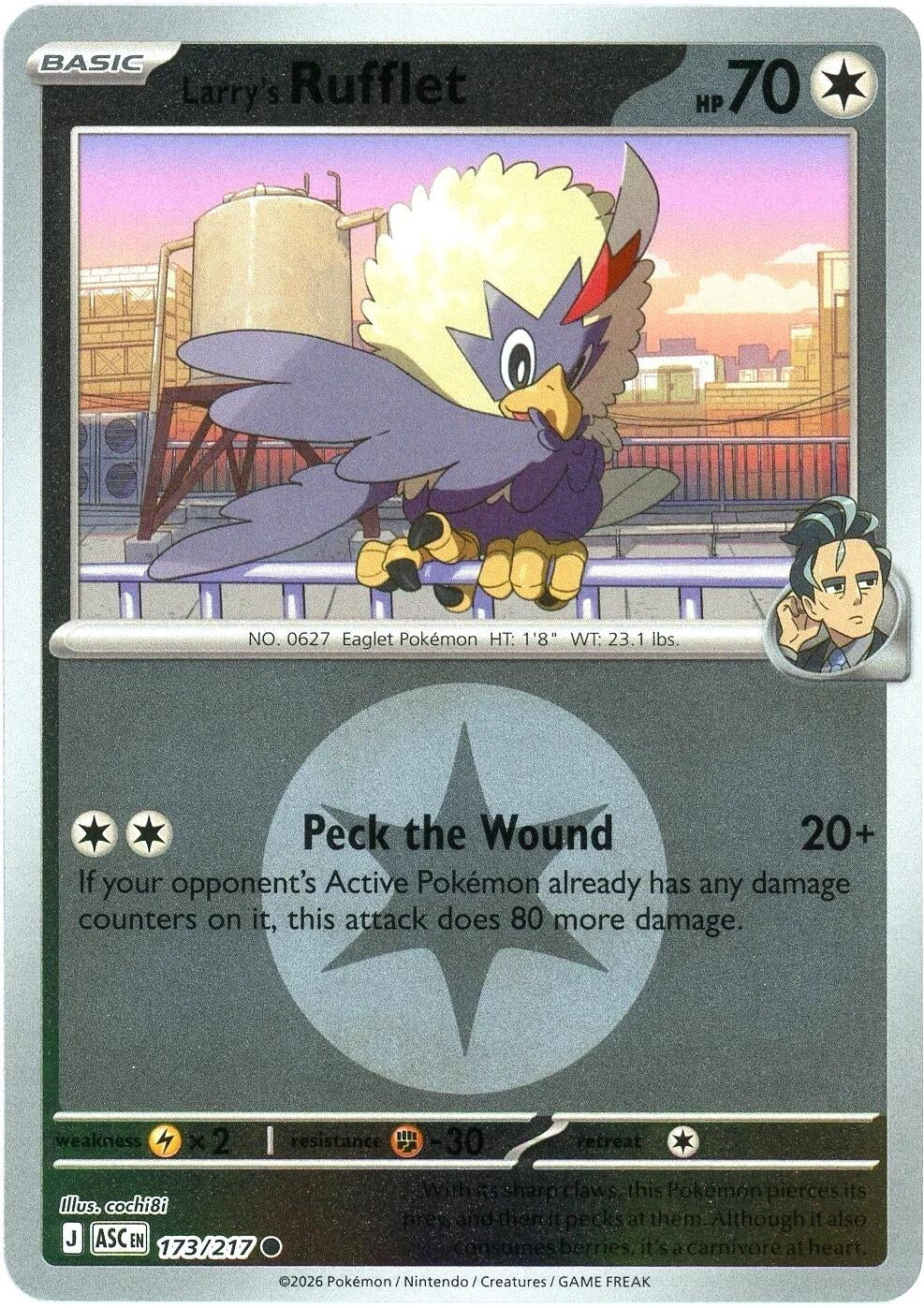 Image for Larry's Rufflet (Energy Symbol Pattern) (173/217) - Pokemon