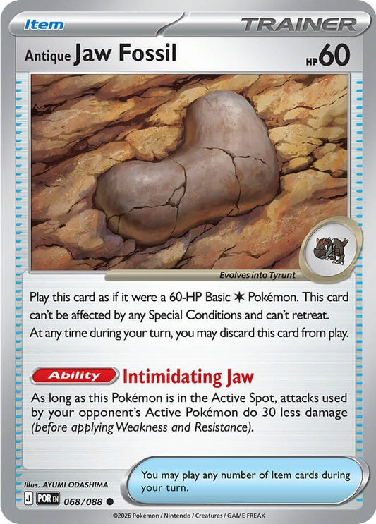 Antique Jaw Fossil (068/088)
