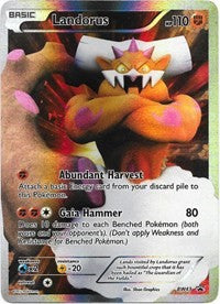 Landorus - BW43 (BW43)