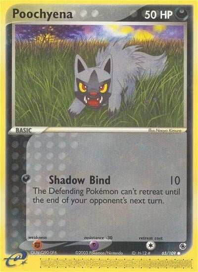 Image for Poochyena (65/109) - Pokemon