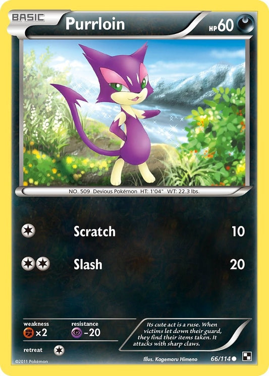 Image for Purrloin (66/114) - Pokemon
