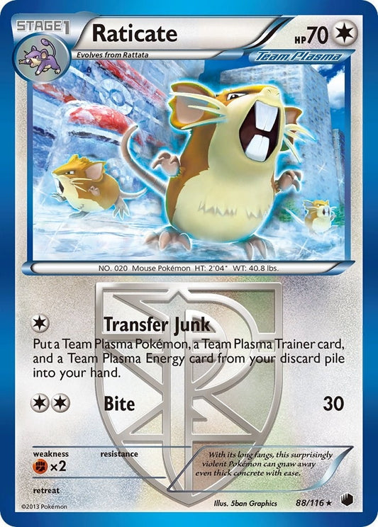 Image for Raticate (Team Plasma) (88/116) - Pokemon