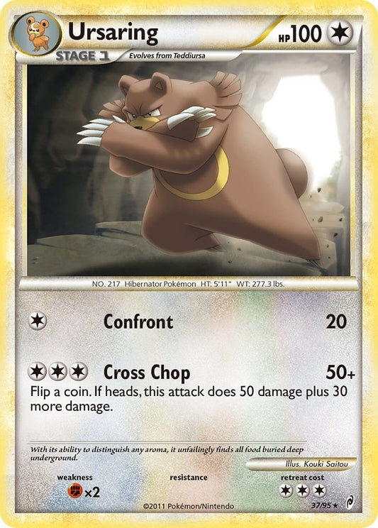 Image for Ursaring (37/95) - Pokemon