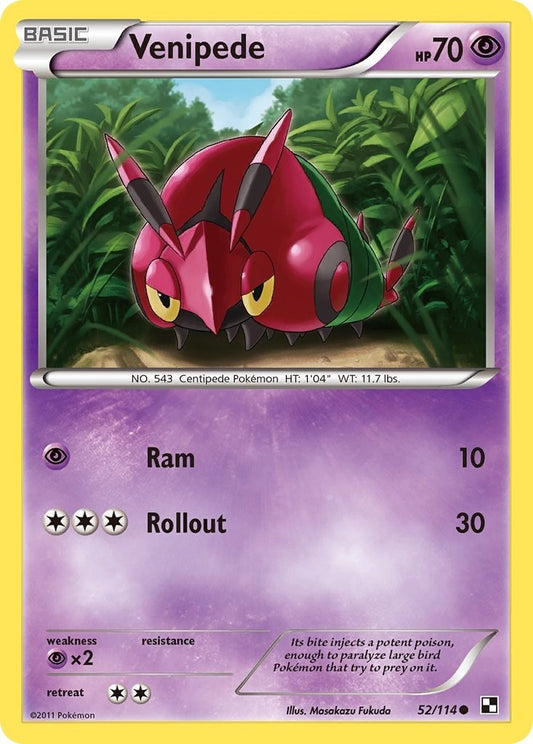 Image for Venipede (52/114) - Pokemon