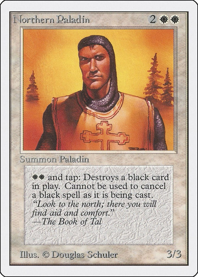 Image for Northern Paladin - Magic: The Gathering