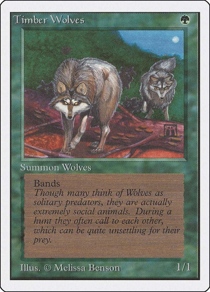Image for Timber Wolves - Magic: The Gathering
