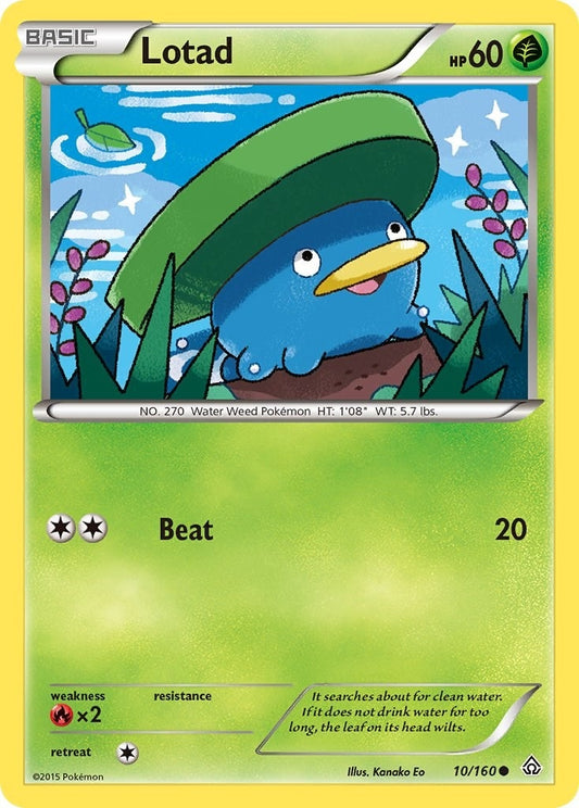 Image for Lotad (10/160) - Pokemon