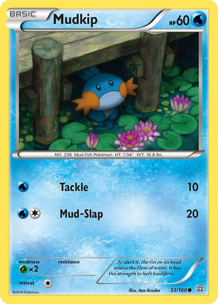 Image for Mudkip (33/160) - Pokemon
