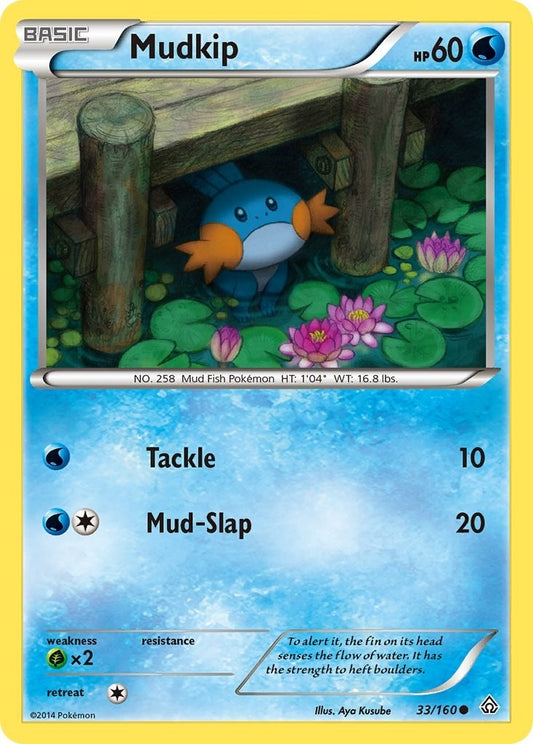 Image for Mudkip (33/160) - Pokemon
