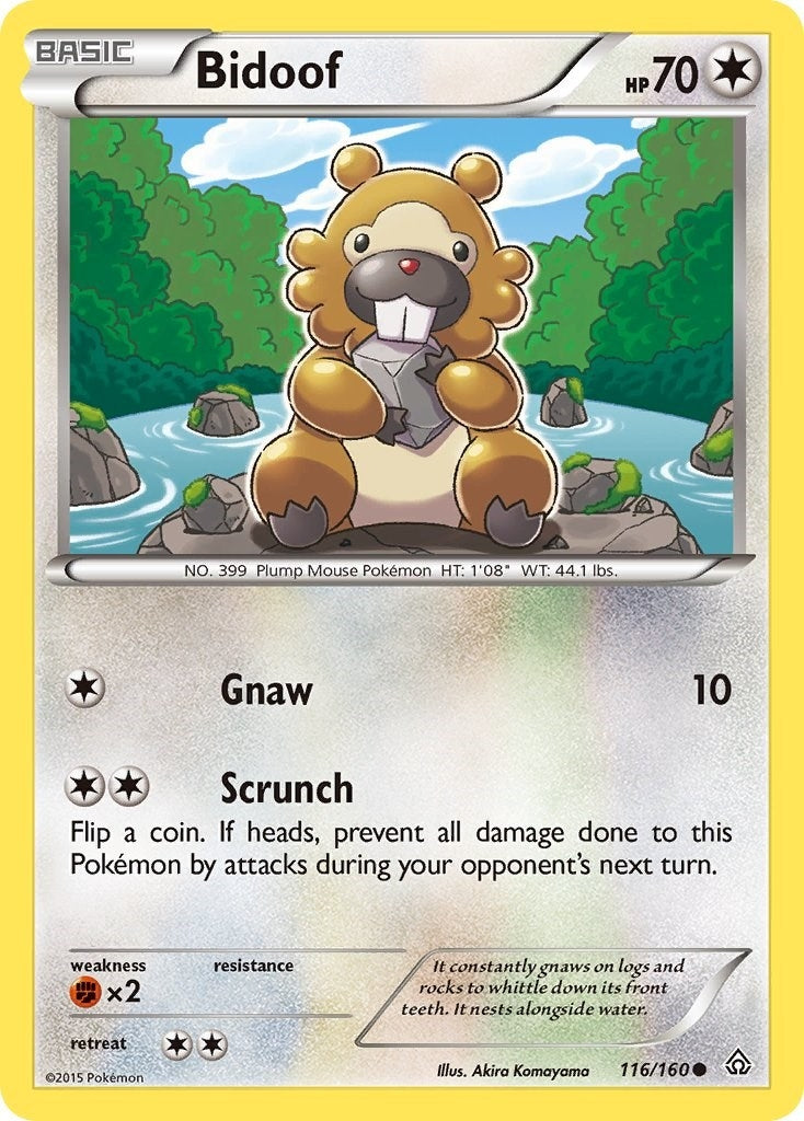 Image for Bidoof (116/160) - Pokemon